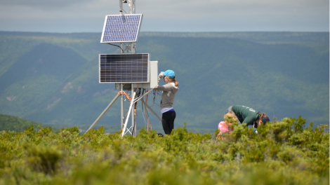 Students conducting fieldwork on solar-powered weather station in natural landscape, part of StFX’s university science programs in Earth and Environmental Sciences