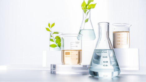 Beakers and flasks with plant cuttings symbolizing sustainable chemistry in university science programs