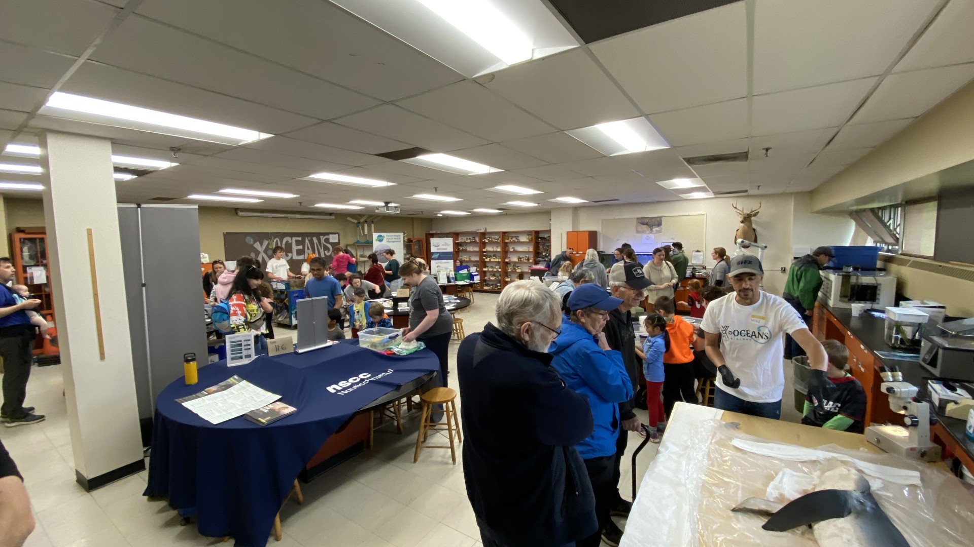 People doing activities on World Oceans Day 2024