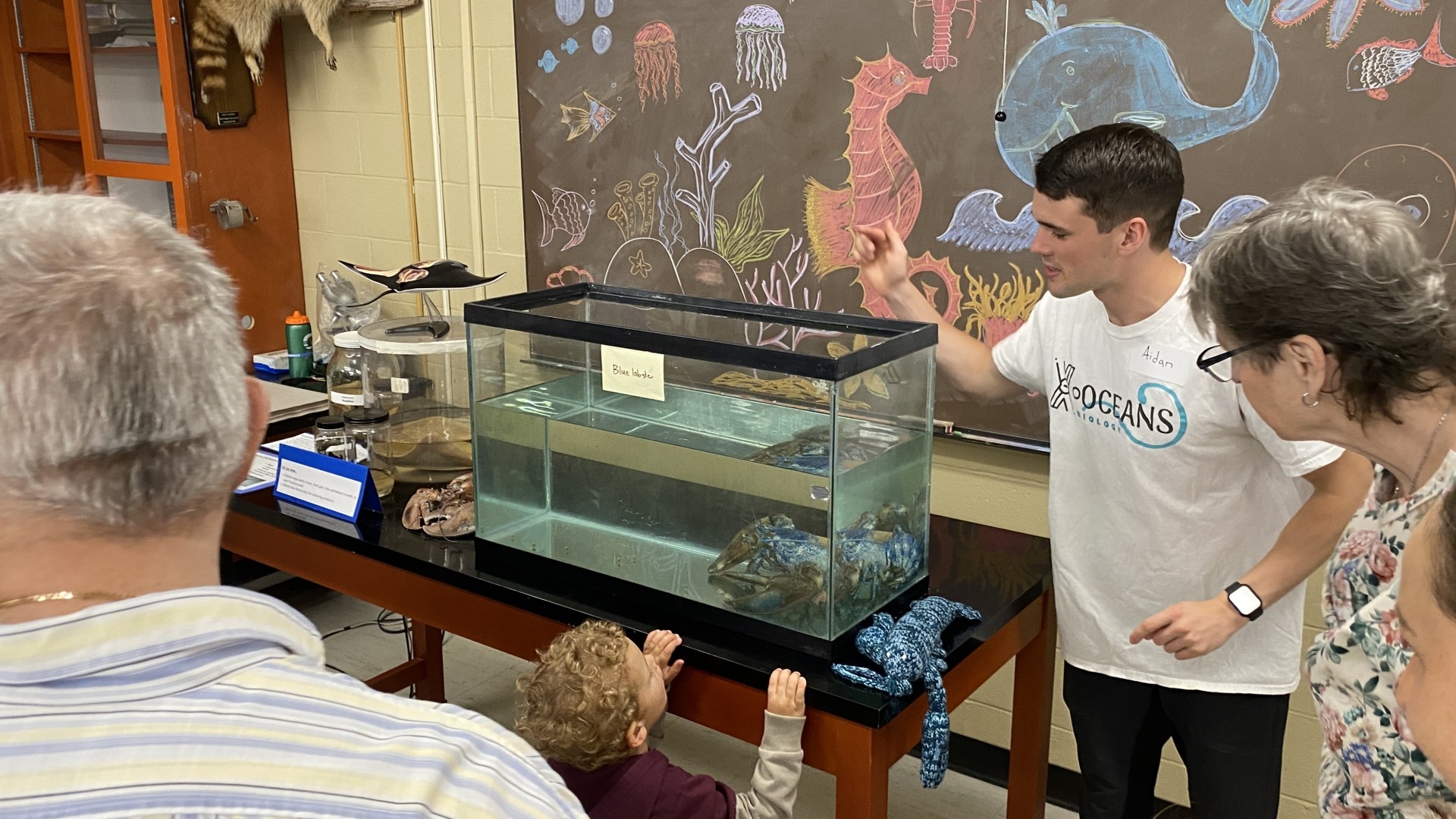 Touch tank at World Oceans Day 2024