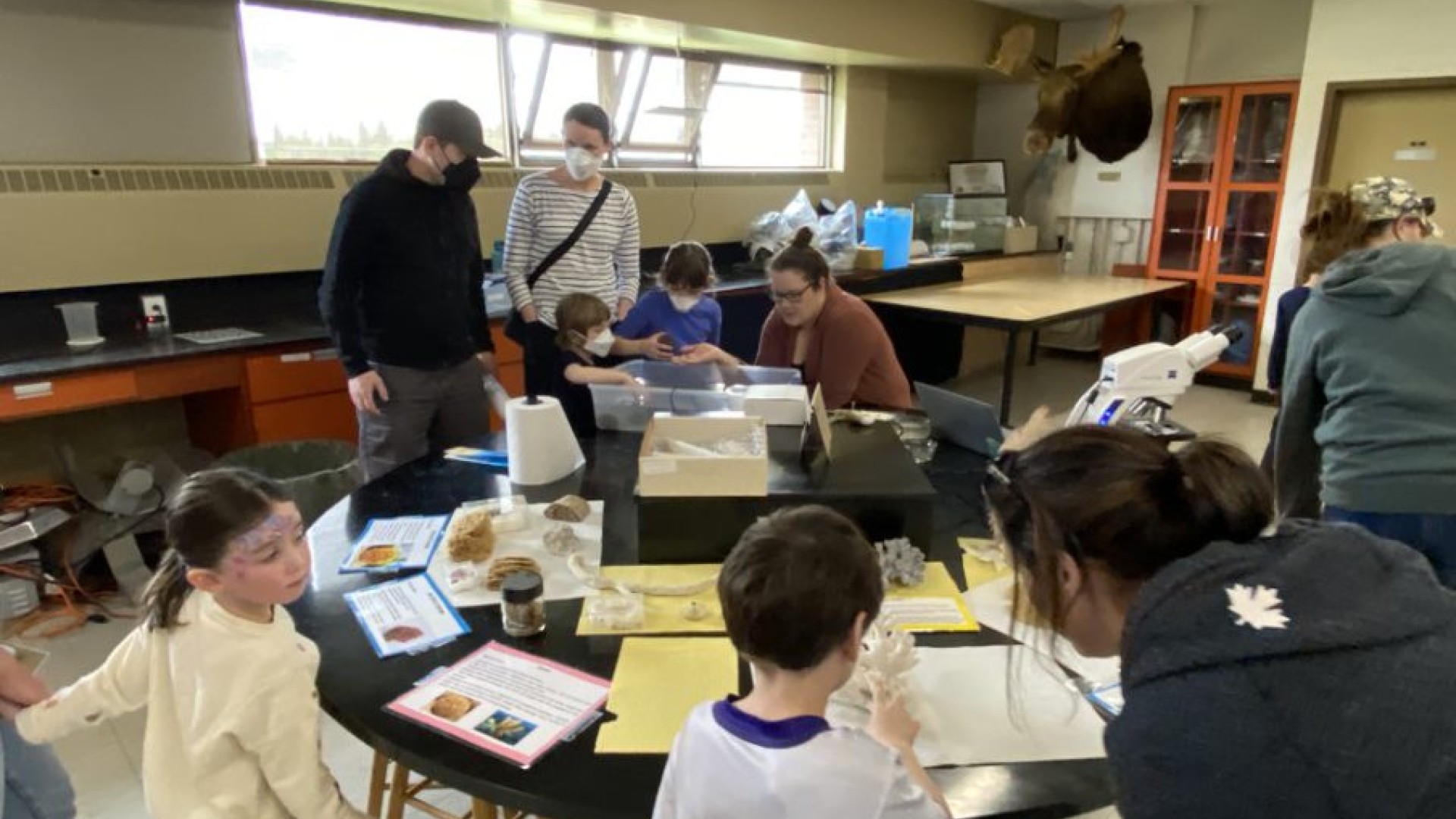 Students observing sea urchins