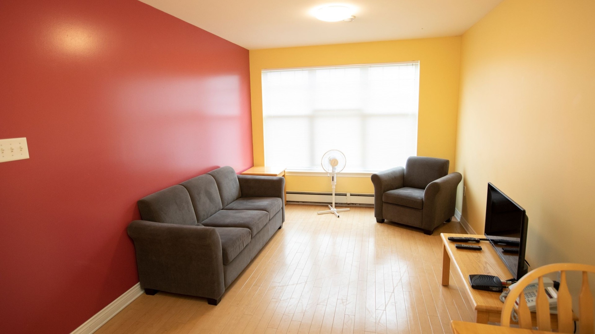 Furnished apartment. Image of 2 sofas and 1 TV