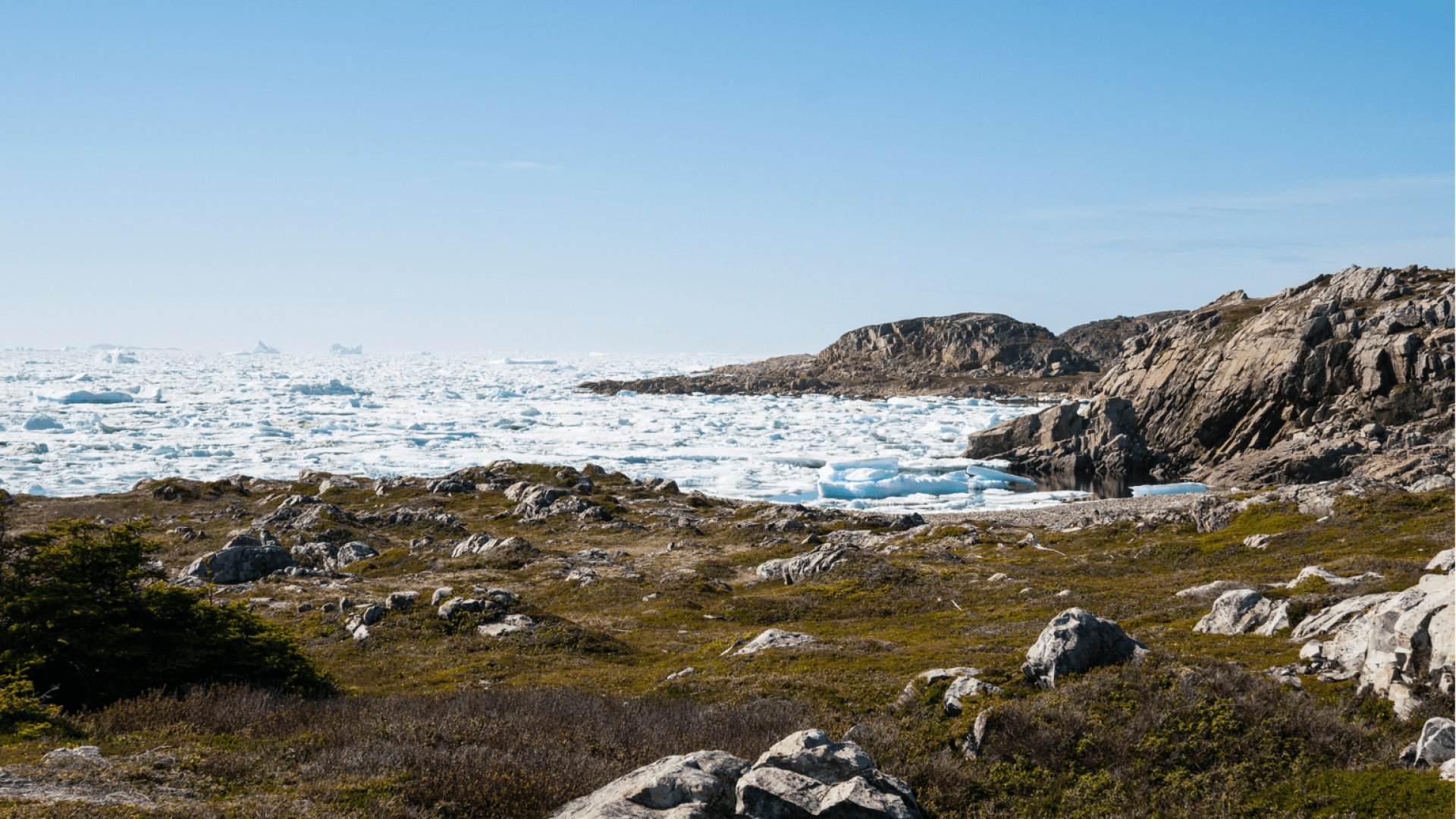 Rugged coast of Fogo Island