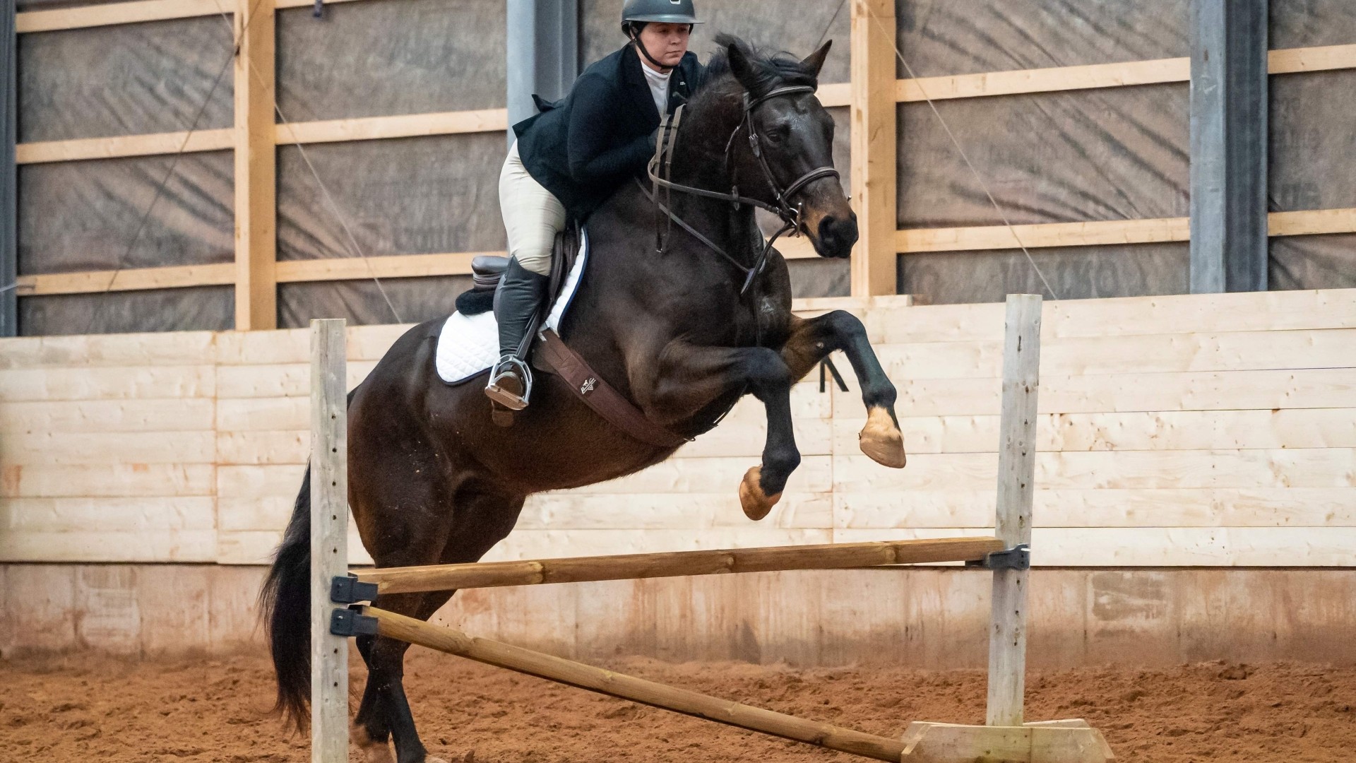 StFX Equestrian Show