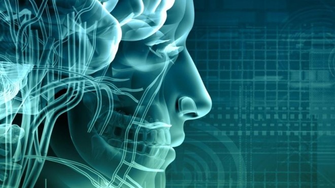 Image of human head scan