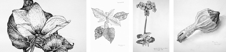 4 paintings of flowers