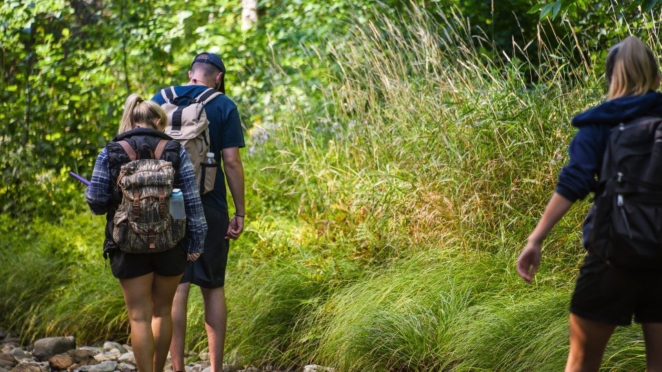 Three individuals walking on a path surrounded by greenery.