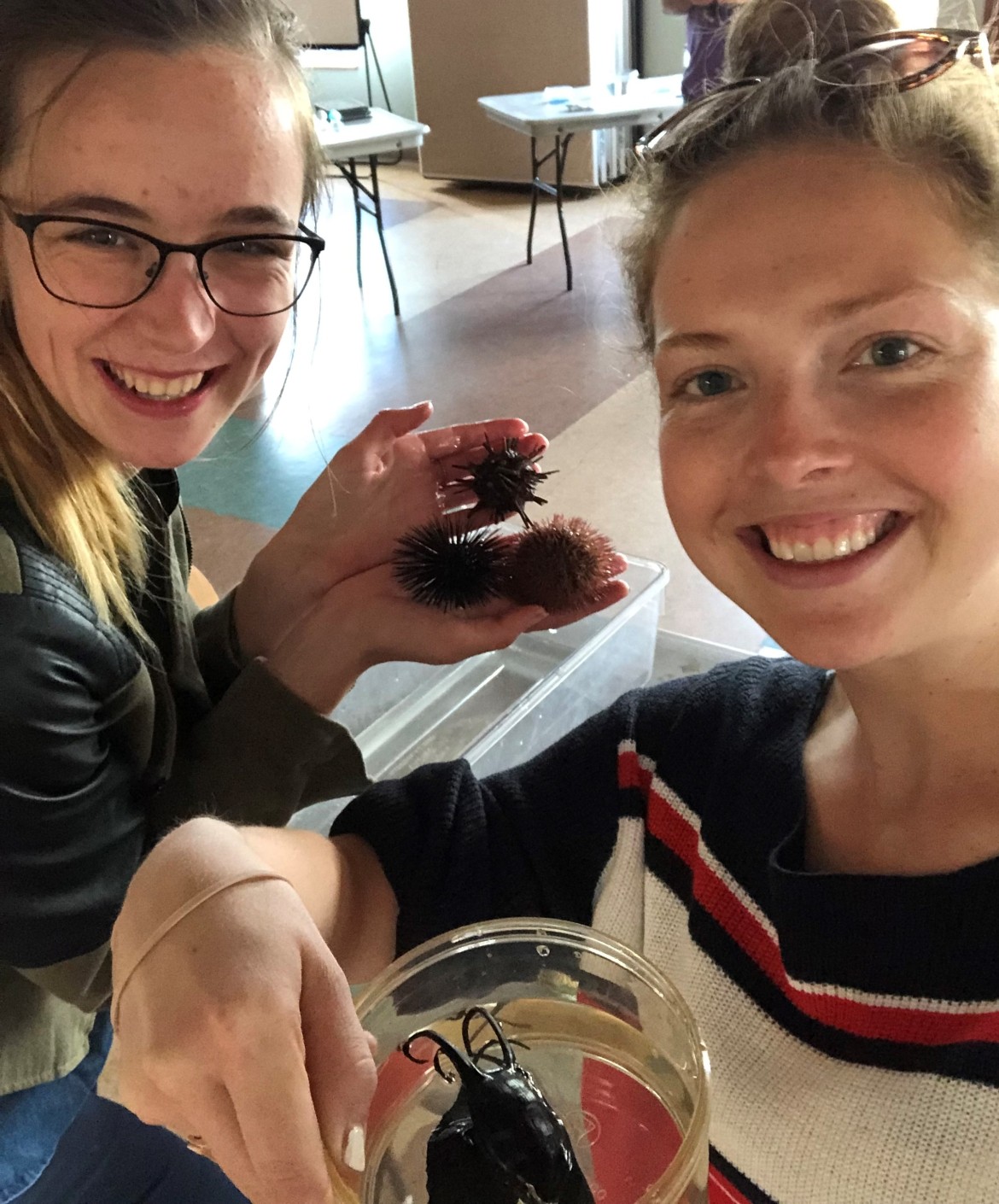 Students Grabbing Sea Urchins