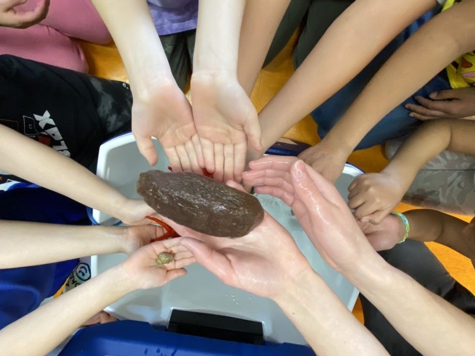 Picture of School Students Holding Marine Animals