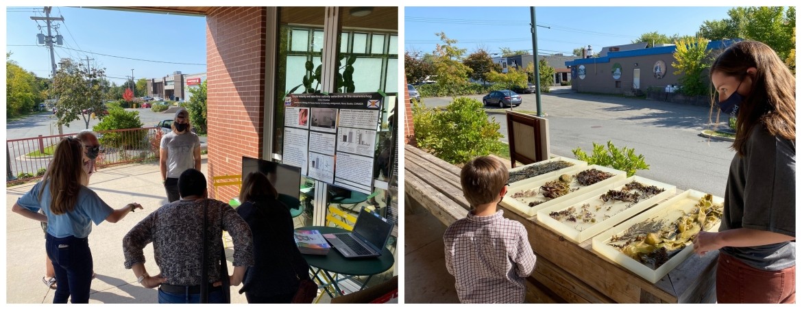 Collage of Students Promoting the Science Literacy Week and Showing their Work