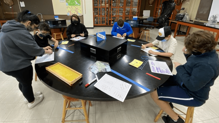 Students Drawing Shapes on Paper