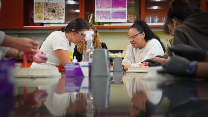 Black excellence lab