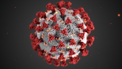Nova Scotia COVID-19 Health Research Coalition (COVID virus image)